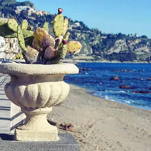 Le Conchiglie Di Venere-venus Appartamento Giardini Naxos